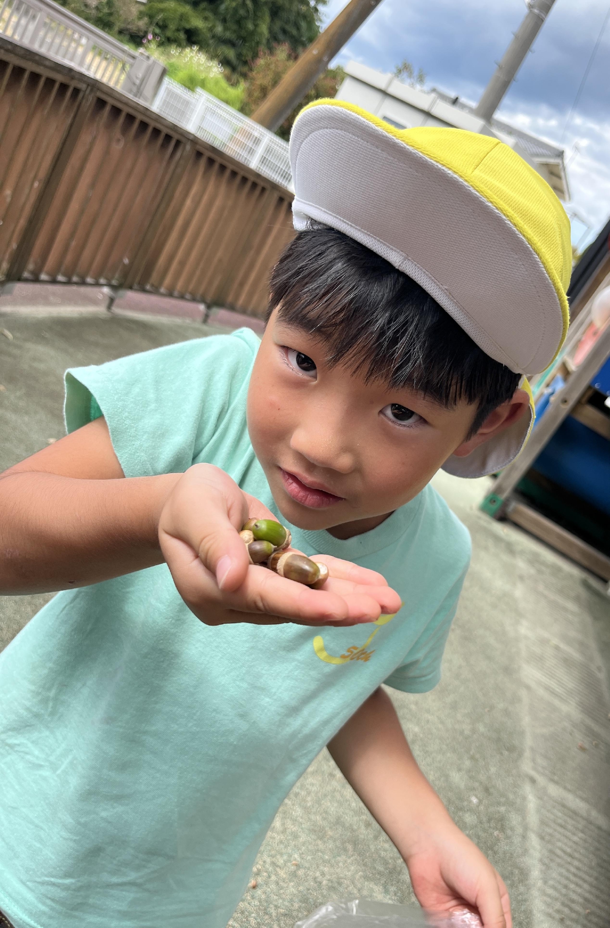 フォトアルバム