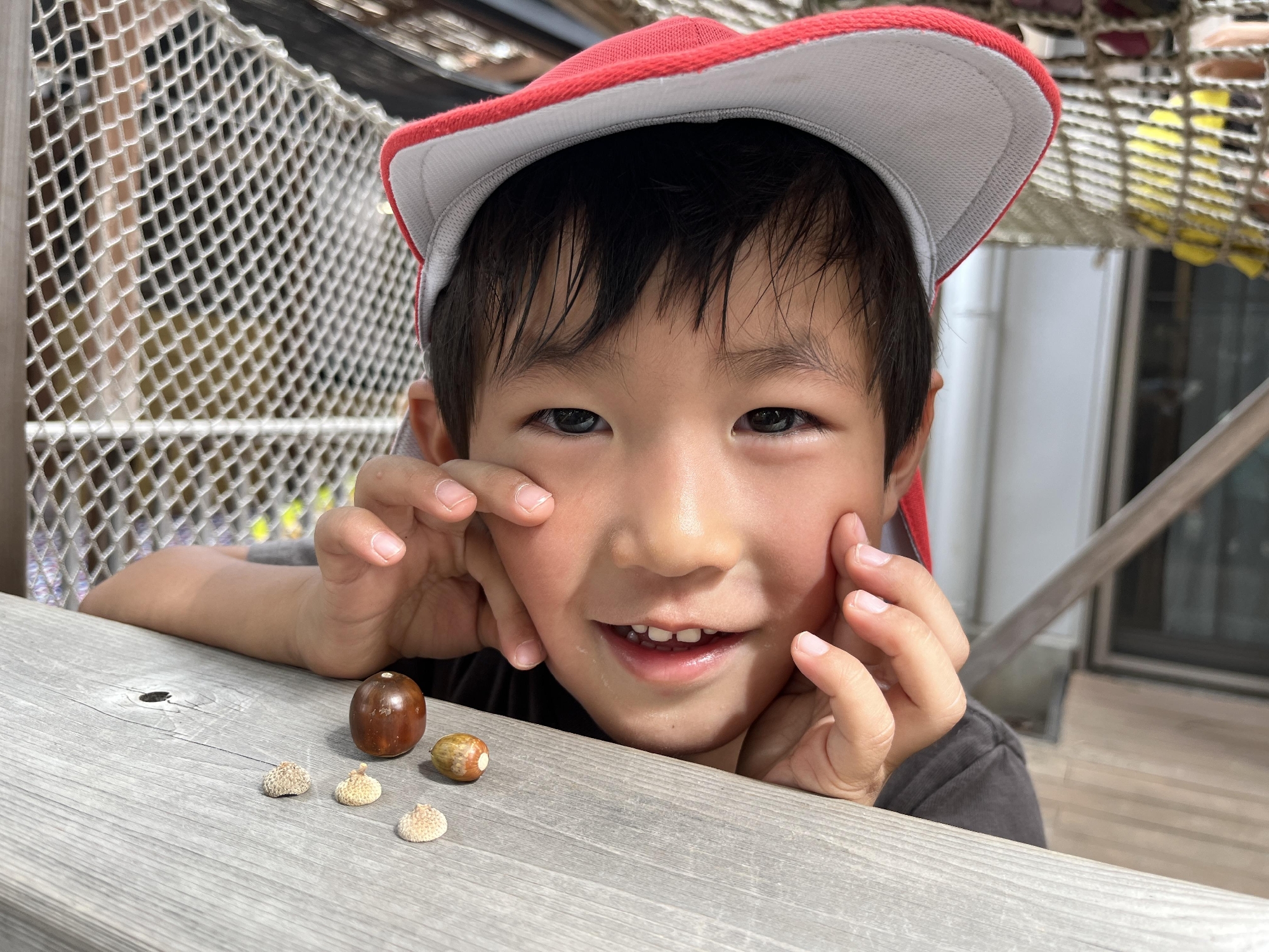 フォトアルバム