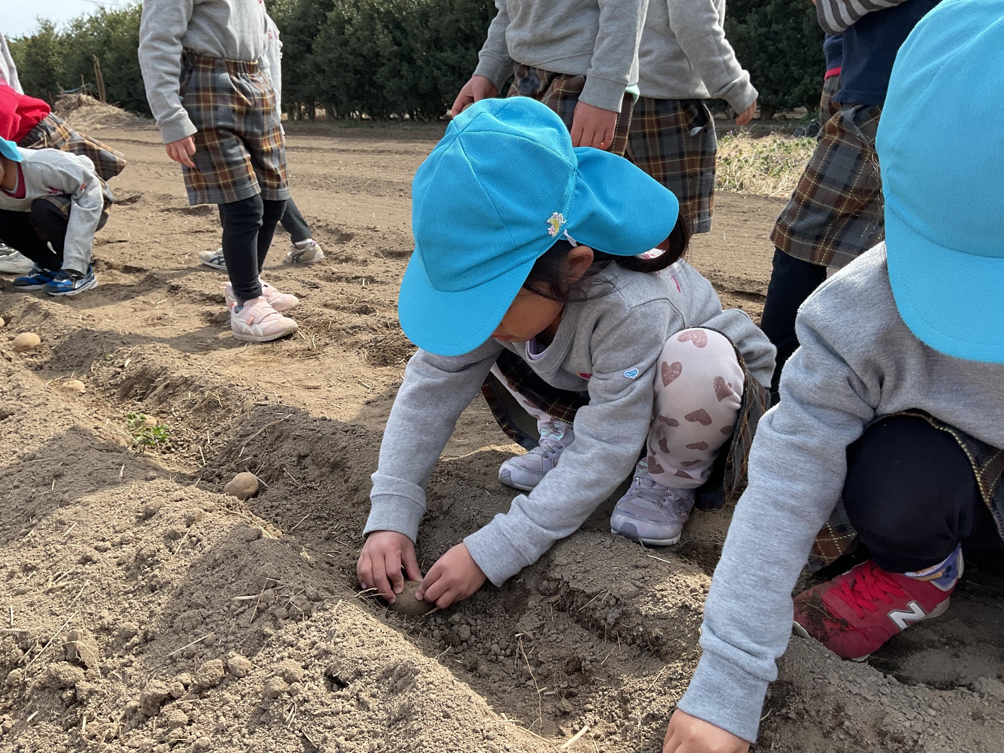 フォトアルバム