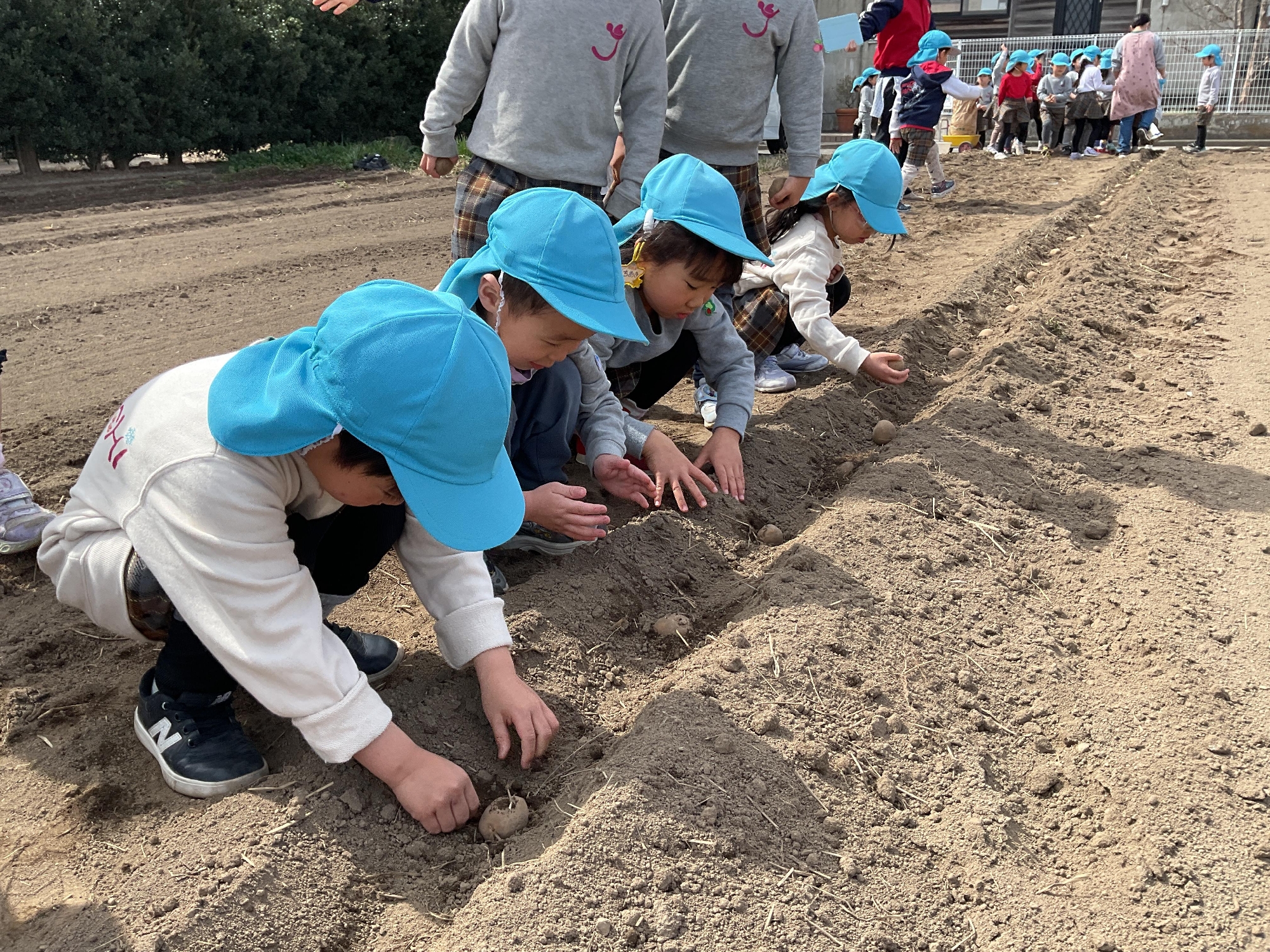 フォトアルバム