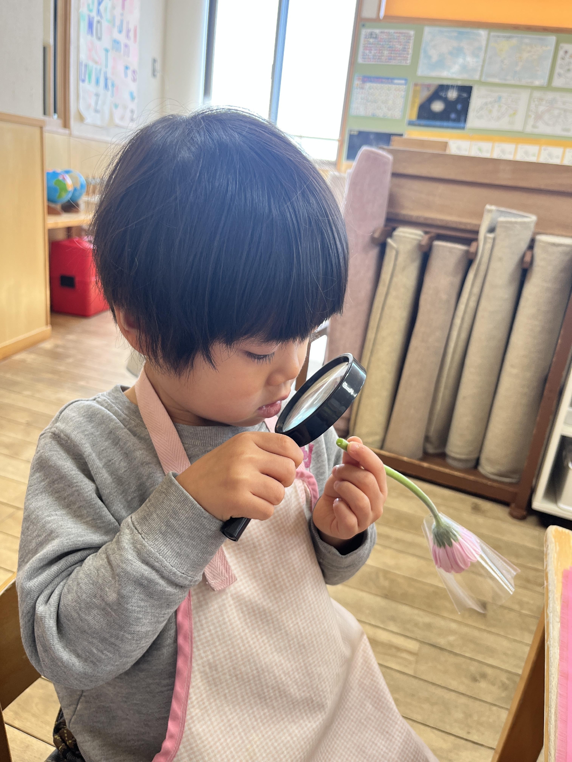 フォトアルバム