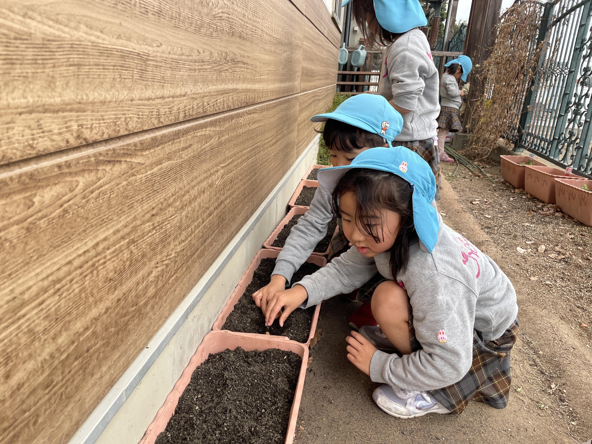 フォトアルバム